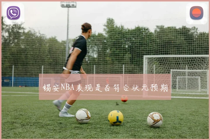 锡安NBA表现是否符合状元预期