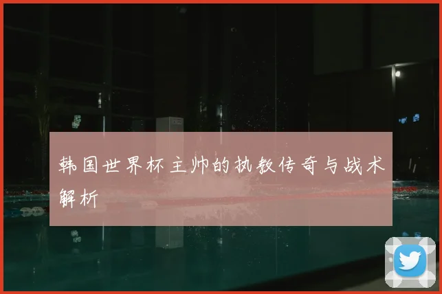 韩国世界杯主帅的执教传奇与战术解析