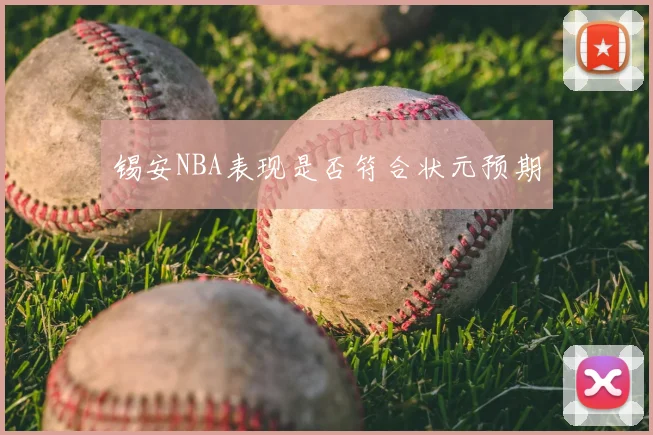 锡安NBA表现是否符合状元预期