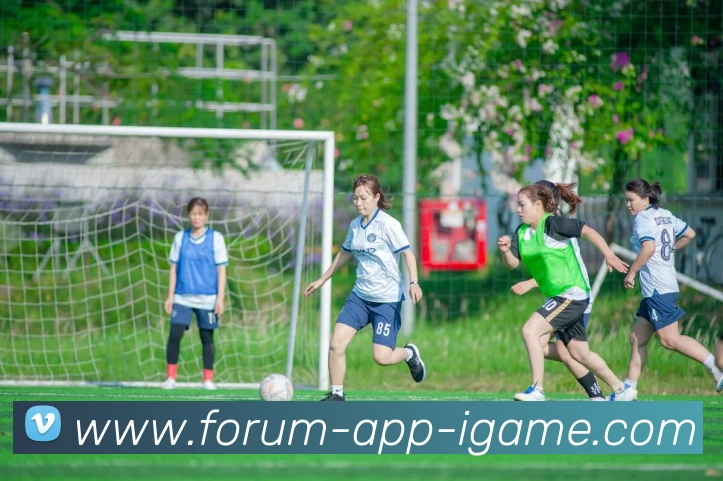 多媒体互动体验